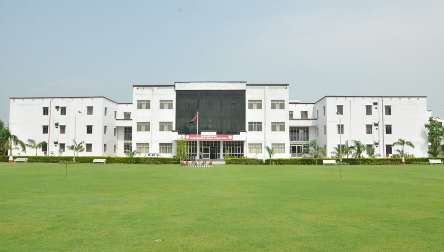 SHRI RAM MURTI SMARAK INSTITUTION [BARELLY]