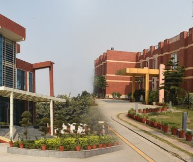 NATIONAL COUNCIL FOR HOTEL MANAGEMENT & CATERING TECHNOLOGY [NOIDA]